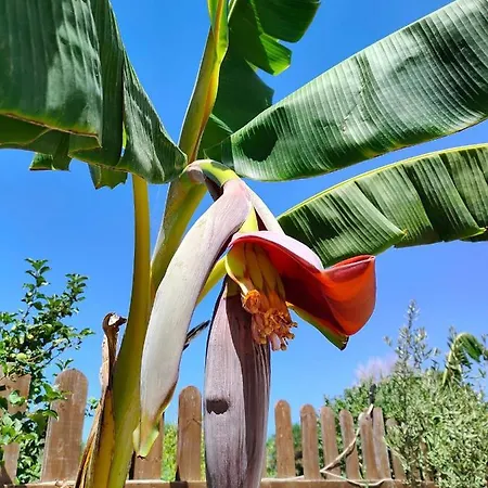 Da Donatella Santa Maria