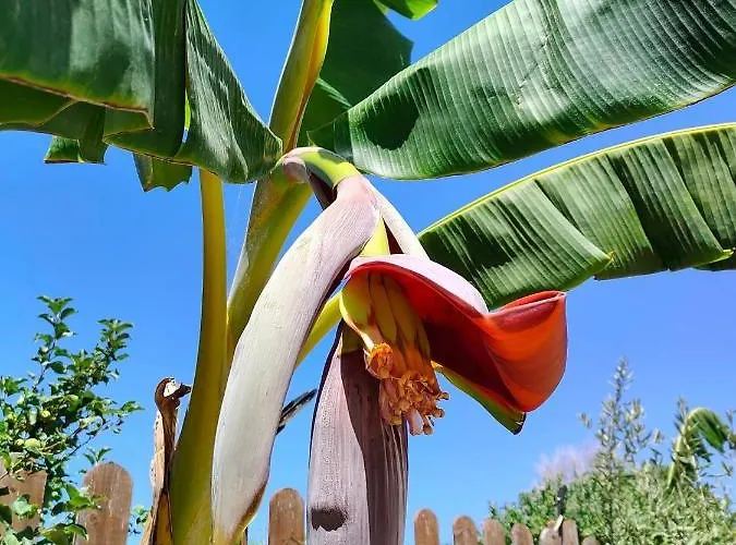 Da Donatella Santa Maria